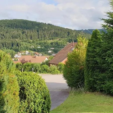 Avec Mezzanine 4 Etoiles, Saint Mamet, Jusqu'a 10 Couchages, Proche Du De Des Commerces Et Des Pistes De Dans Un Quartier Calme Gerardmer